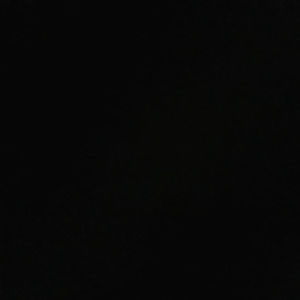 Meet your Posher, Mikayla